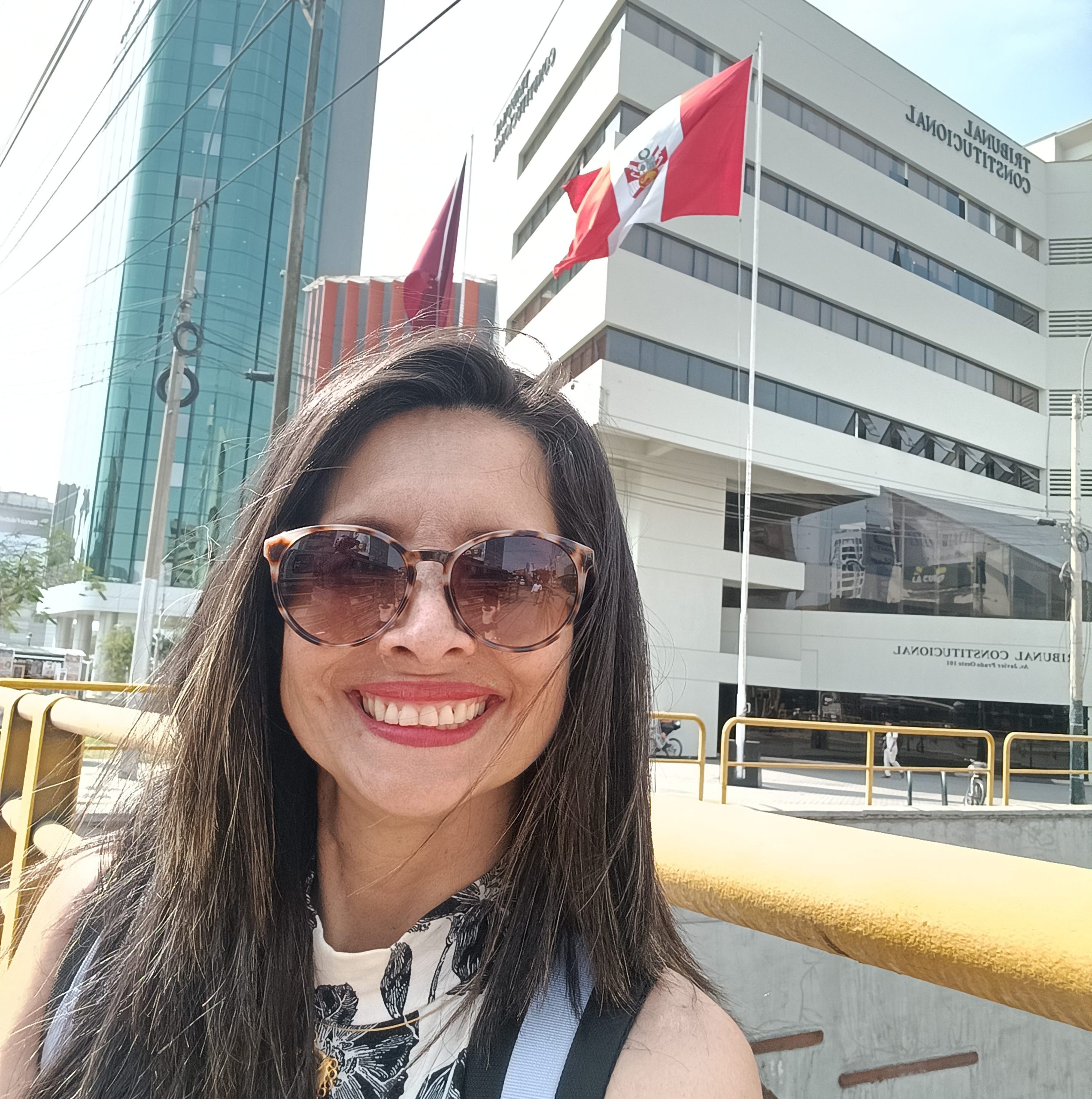 Misión comercial a Perú